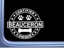 Certified Beauceron L349 Dog
