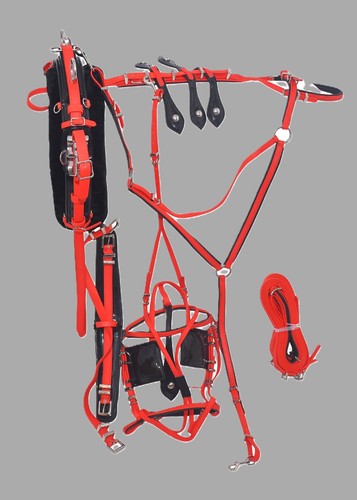 Pvc quick hitch horse driving - hitch,