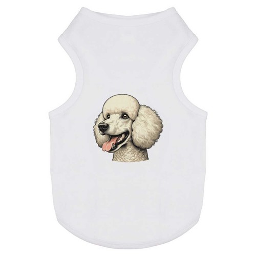 Happy poodle portrait - poodle, portrait'
