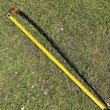 Antique Irish Blackthorn