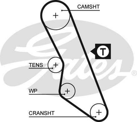 Gates timing belt - timing, pump