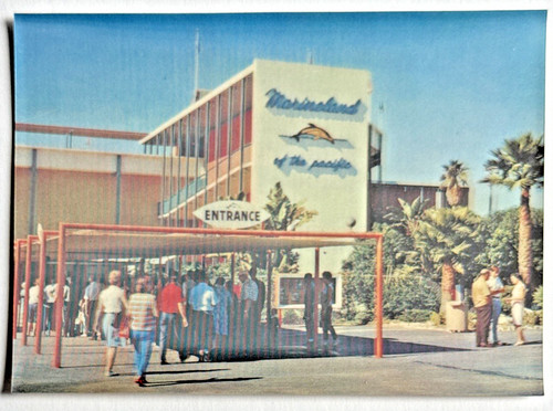 Marineland california busy - california,