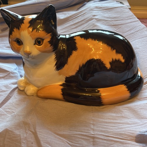 Gorgeous black tan white - &,