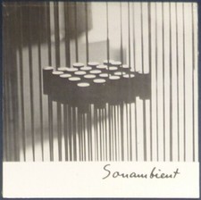 Harry Bertoia - Sonambient Here And Now / Unknown on Black vinyl.