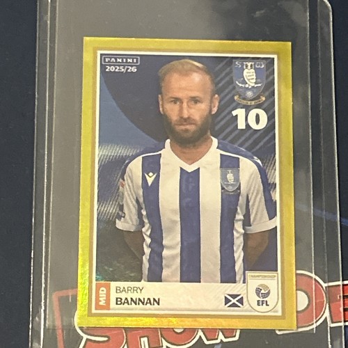 Efl 2026 panini stickers - panini,
