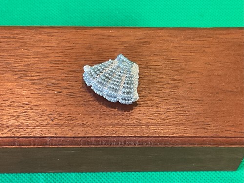 12th scale dolls house - 12th,