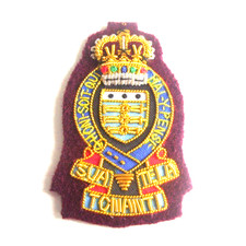 RAOC WO1 / OFFICER  PARA BERET