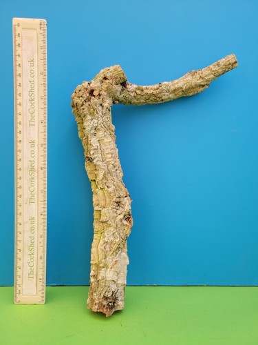 Cork bark branch 30cm snake - branch,