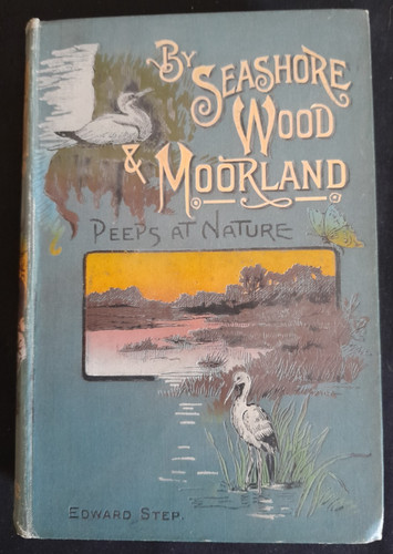 Seashore wood moorland - wood, &