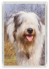 OLD ENGLISH SHEEPDOG DOG HEAD