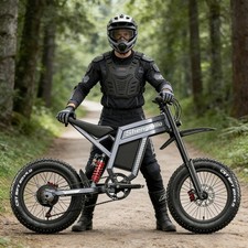 20” Fat Tyre Electric Bike