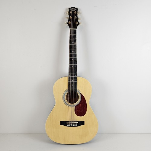 Guitar vintage nashville - guitar,