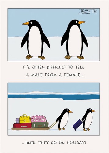 Happy birthday card penguins - happy,