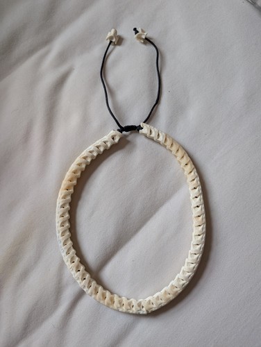 Real snake vertebrates - real,