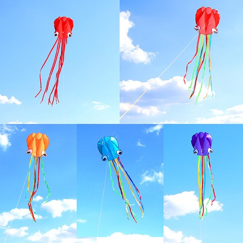 Octopus kite line software - octopus,