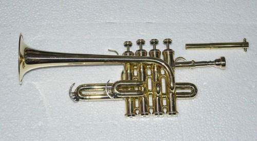 New professional piccolo - new,