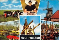 BT18887 Moooi holland cow