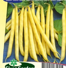 FRENCH BEANS SEEDS "KINGHORN