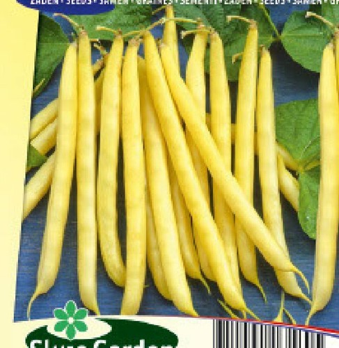 French beans seeds kinghorn - seeds, "kinghorn
