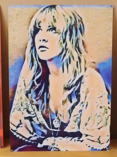 Stevie nicks fleetwood mac - stevie,