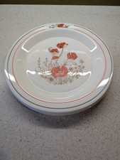 Vintage ARC ARCOPAL Dinner