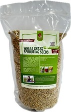 Fodder Seeds for Chickens (3