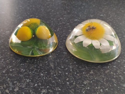 Vintage lucite domed - x,