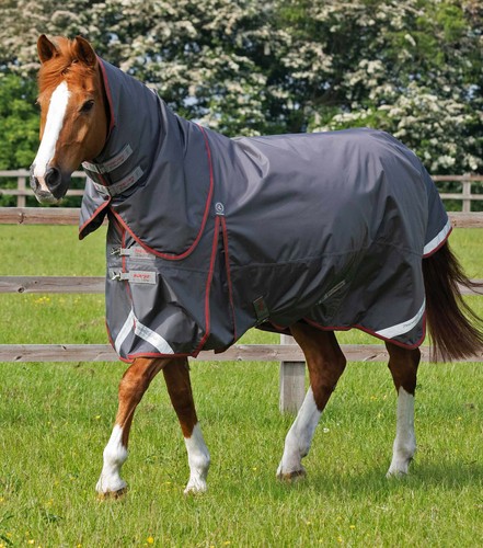 Premier equine buster 150g - equine,