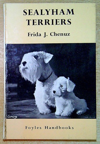 Chenuz frida sealyham - chenuz,,