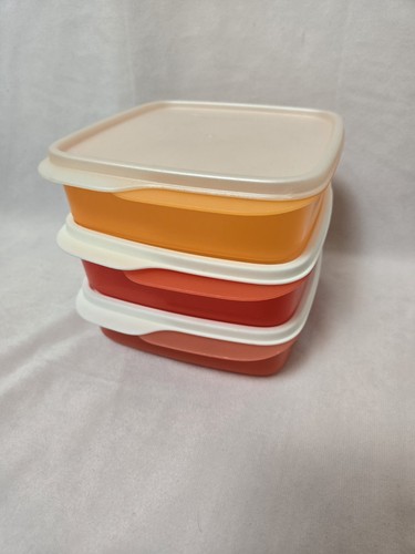 Tupperware lunch divided - it,