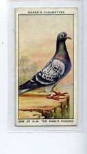 (Jg3679) OGDENS,RACING PIGEONS,ONE OF H.M THE KINGS PIGEONS,1931,#14
