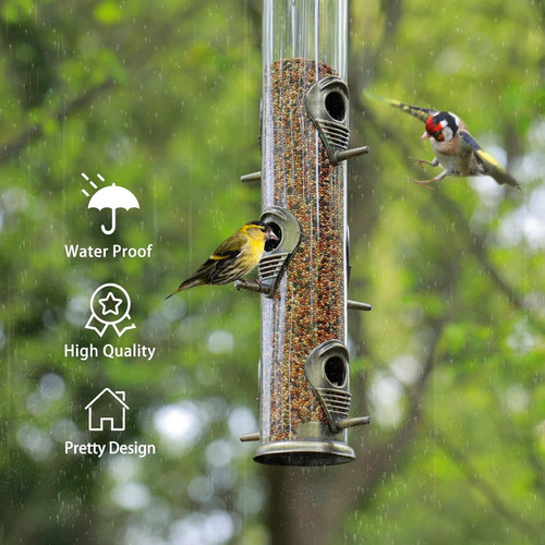 Wild garden bird seed - wild,