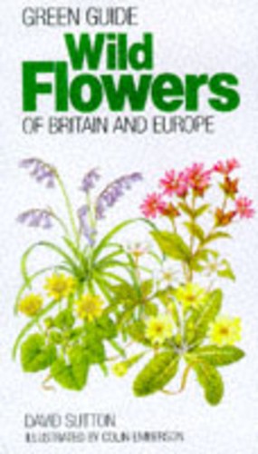 Wild flowers britain - wild,