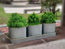 Set of 3 Metal Windowsill Herb