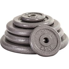 1" Standard Weight Plates Cast