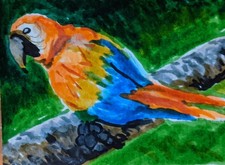 ACEO Original watercolor