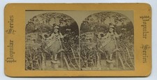 Little Bo Peep Rural Stereoview 