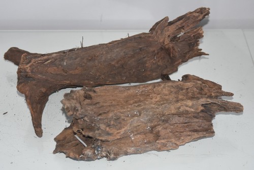 Real aquarium bog wood - bog,
