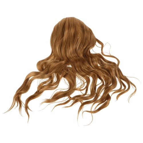 Hair wig accessory - hair,