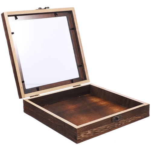 Insect collectors boxes - insect,