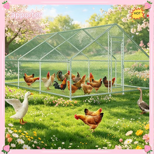 20x10ft large chicken coop run - 20x10ft,