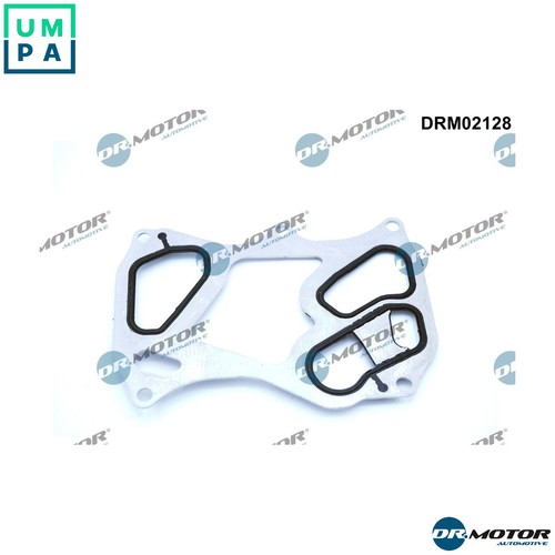 Gasket oil cooler - cooler, for