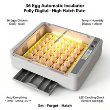 Incubators for Hatching Eggs