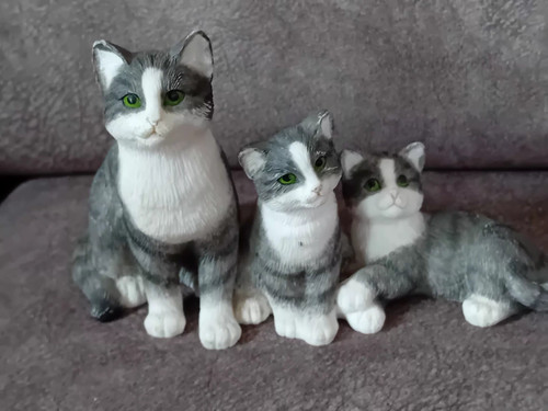 Lovely leonardo cat collection - lovely,