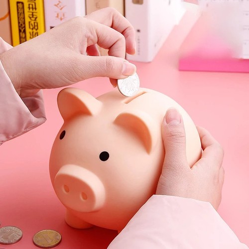 Pig piggy bank openable - piggy,