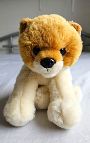 Pomeranian dog puppy soft - pomeranian,