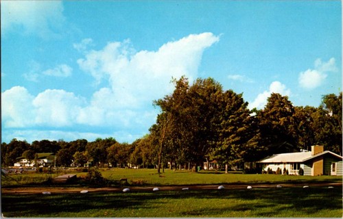 Maple springs postcard - springs,