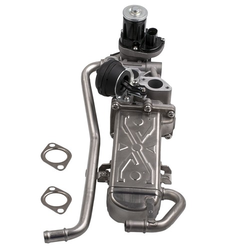 Agr egr valve for - agr,