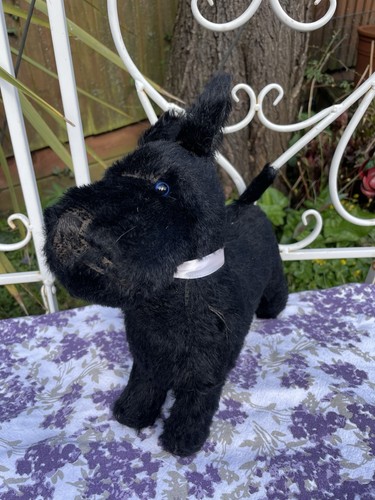 Teddy bear old - dog,