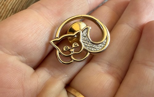 Cute gold cat - cat, pin